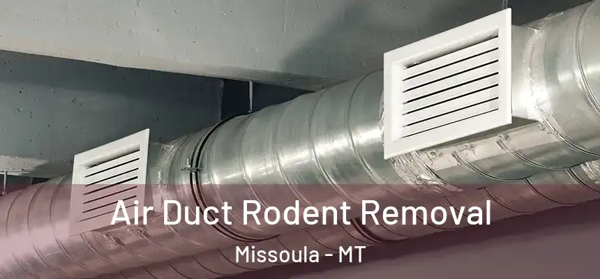 Air Duct Rodent Removal Missoula - MT