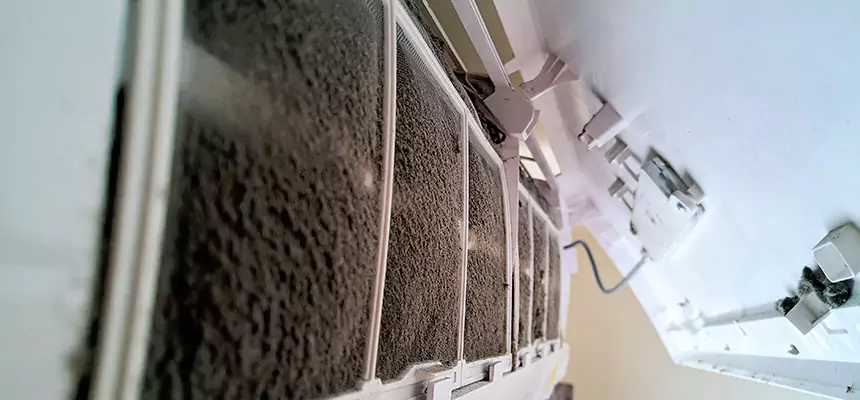 Preventive Air Duct Bacteria Removal in Missoula