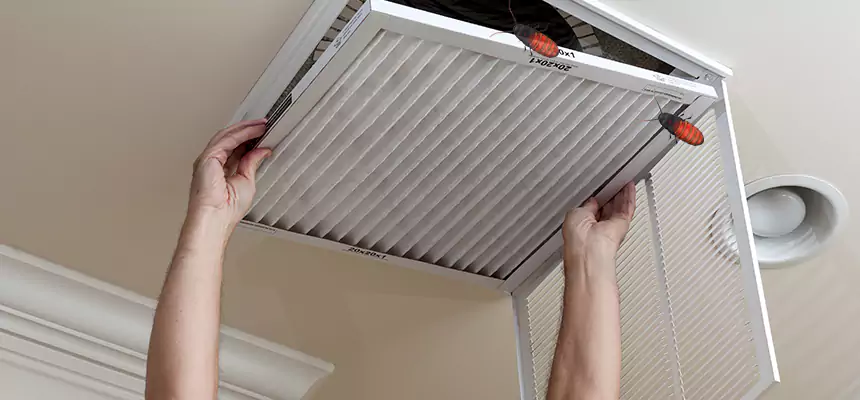 Preventive Cockroach-Proofing for Ducts in Missoula
