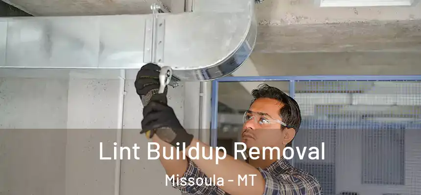 Lint Buildup Removal Missoula - MT