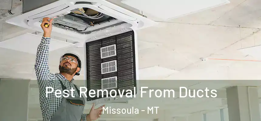 Pest Removal From Ducts Missoula - MT