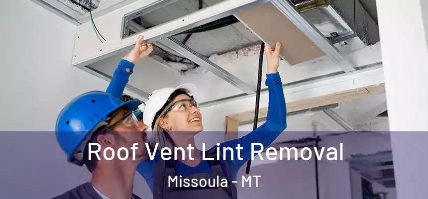 Roof Vent Lint Removal Missoula - MT