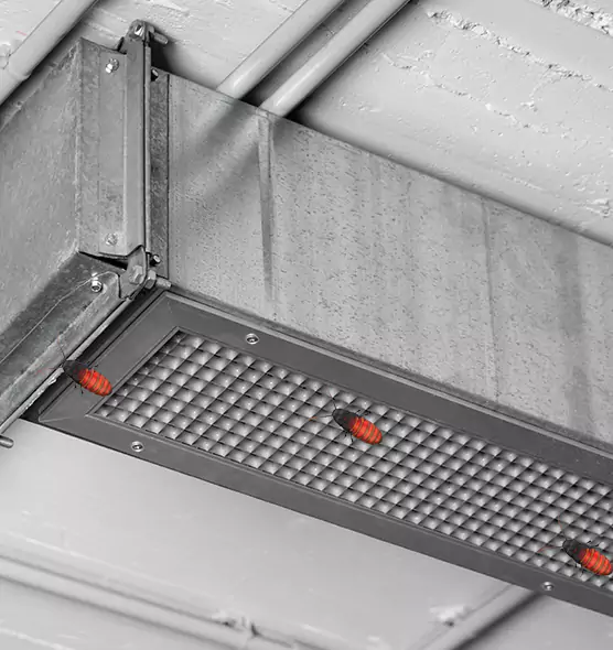 About Air Duct Cockroach Removal in Missoula, MT