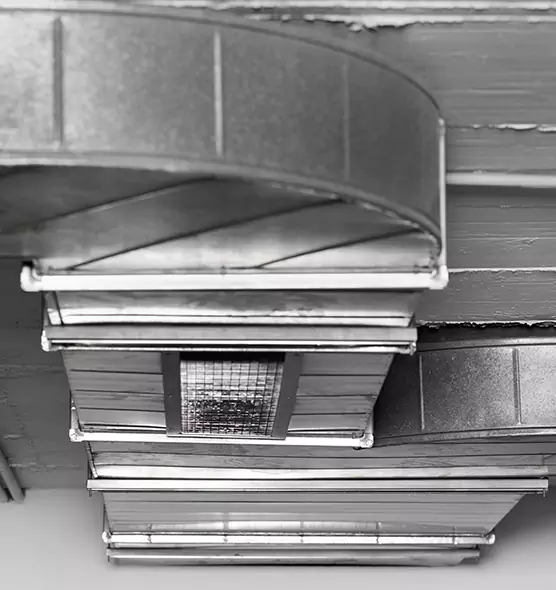 Professional Air Duct Pest Removal in Missoula, MT