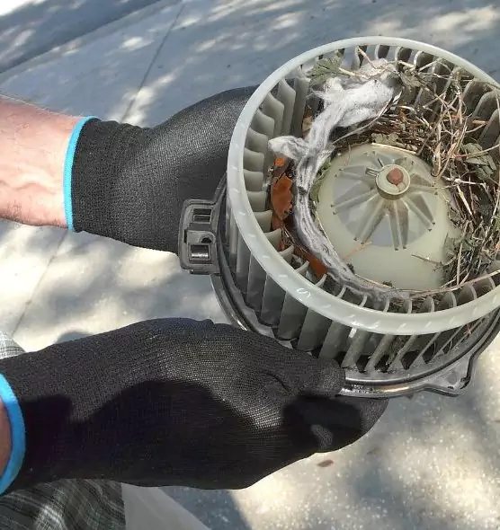 About Air Duct Rat Removal in Missoula, MT