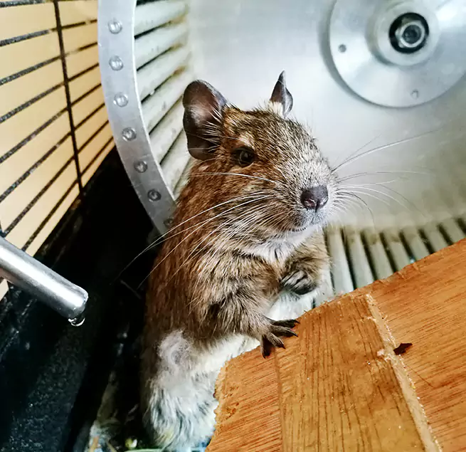 Why Homeowners & Businesses Trust Us Missoula, MT?